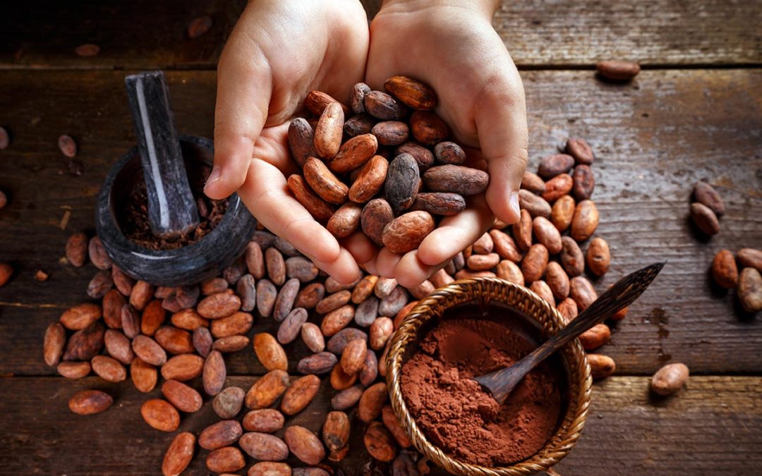 Día Mundial del Cacao